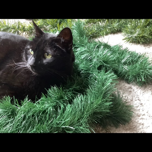 Meet your Posher, Christina - Picture 4 of 16